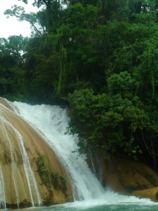 Cascadas de Agua Azul